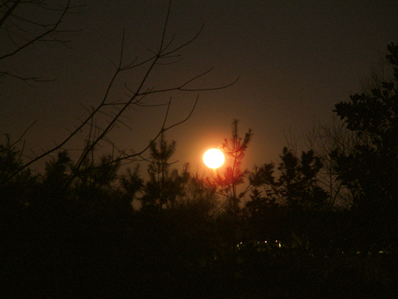 moon orange