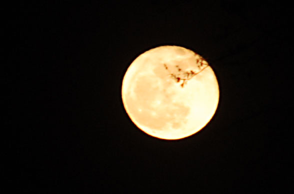 moonnew