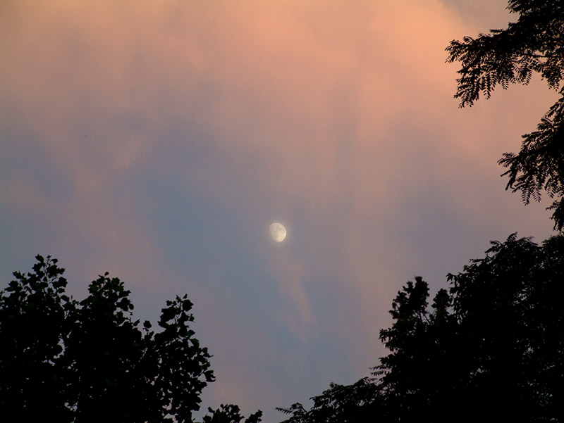 sunset1