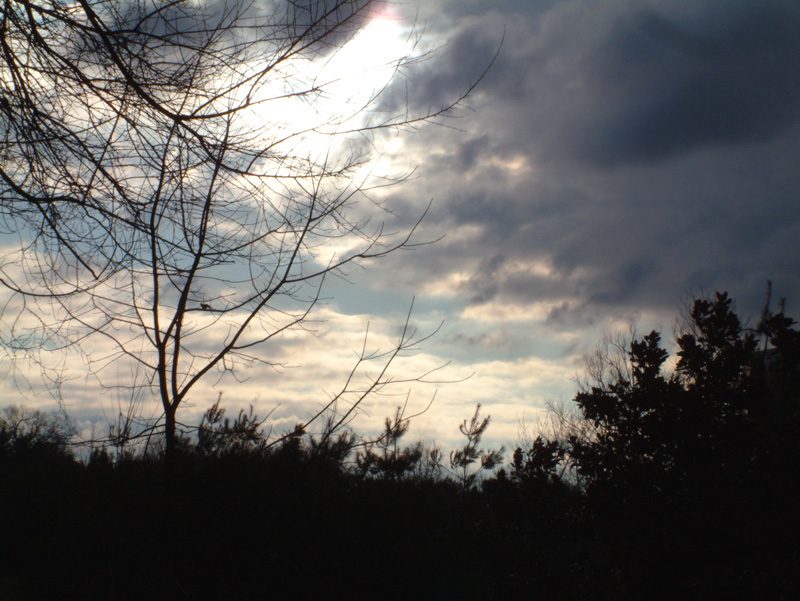 1dawn